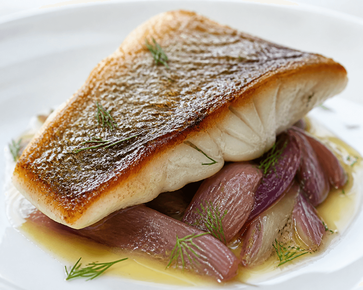 Bar poêlé à l'aneth, fenouil violet au citron, plat terminé présenté naturellement